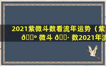 2021紫微斗数看流年运势（紫 🐺 微斗 🌷 数2021年流年运势免费）